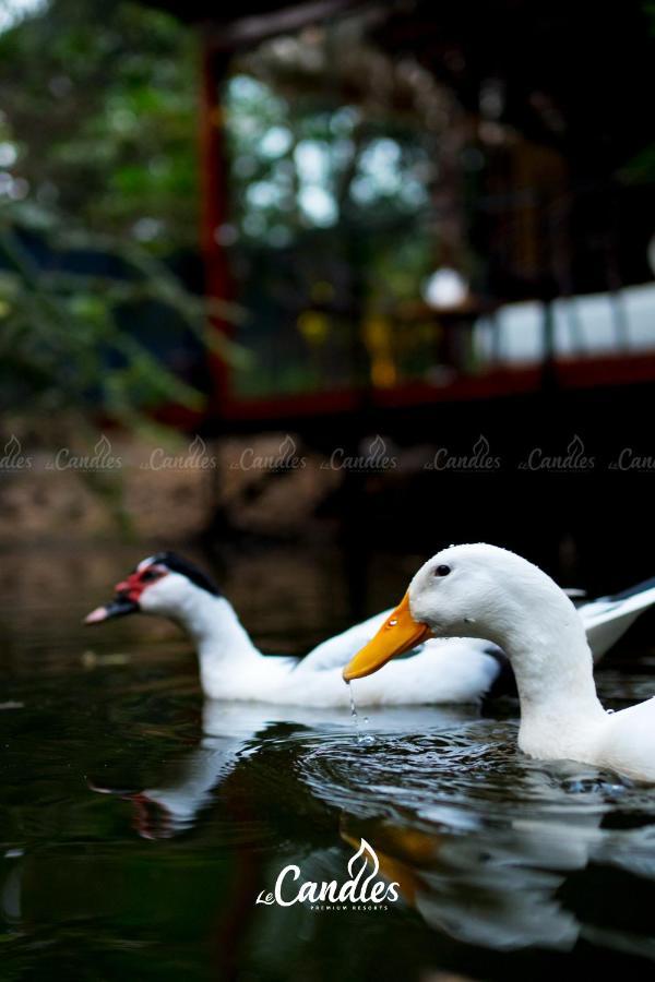 Le Candles Resort Kozhikode Bagian luar foto